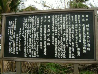 青島　天然記念物